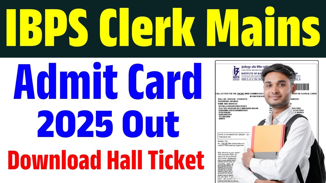 IBPS Clerk Mains Admit Card 2025