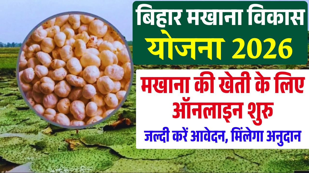 Bihar Makhana Vikas Yojana 2026