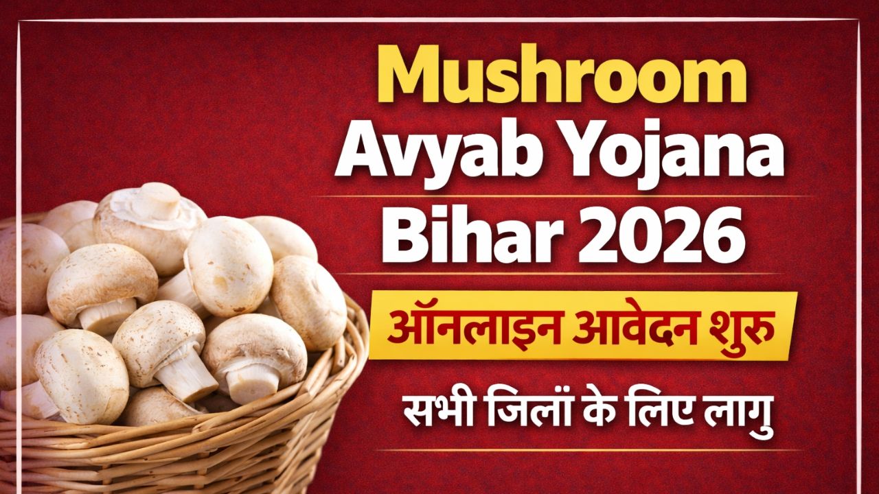 Mushroom Avyab Yojana Bihar 2026