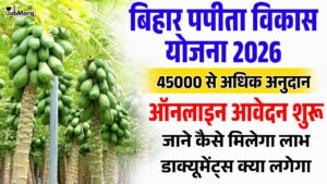 Bihar Papita Vikas Yojana 2026