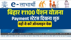 Bihar Pension Payment Status 2026