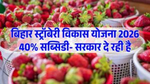 Bihar Strawberry Vikas Yojana 2026